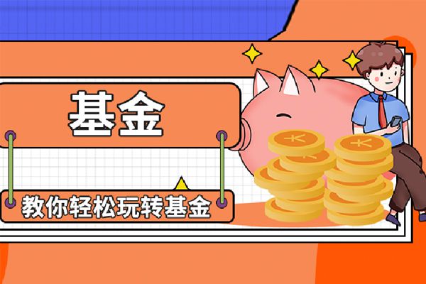 基金会不会一天暴跌20个点   基本不可能出现这种情况